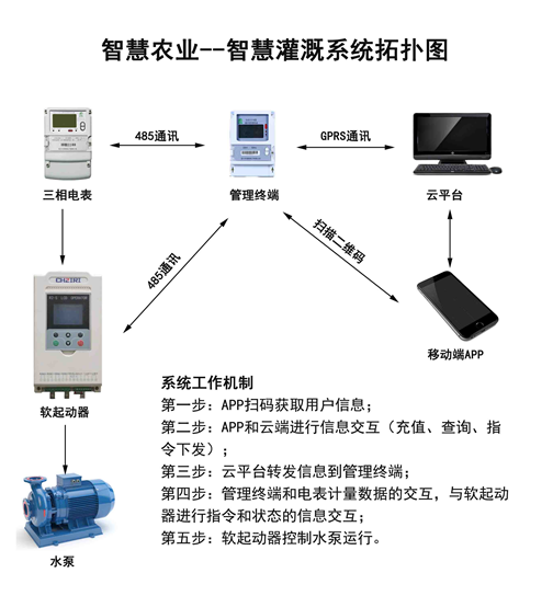 系统拓扑图